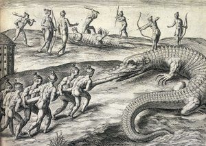 Nativos americanos desnudos cazando caimanes en Florida, EE. UU.
