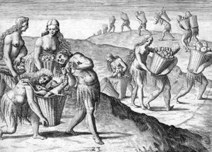 Tribu de los indios Timucua de Theodor de Bry