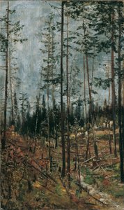 Waldschlag bei Gödöllö