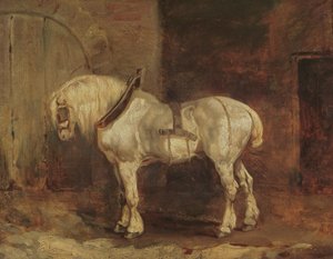 Un caballo de tiro