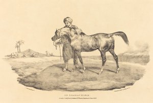 Un caballo árabe de Theodore Gericault
