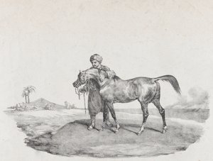 Un Caballo Árabe, 1821