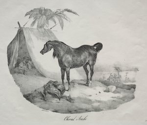 Caballo árabe de Theodore Gericault