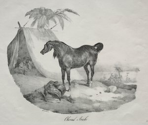Caballo árabe de Theodore Gericault