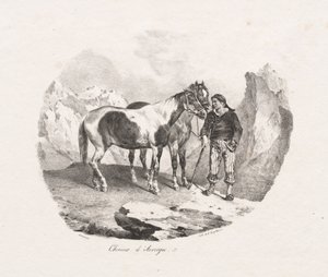 Caballos de Auvernia