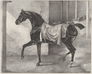 Un caballo negro atado en un establo de Theodore Gericault