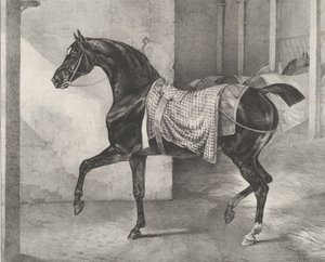 Caballo negro atado en un establo, 1822 de Theodore Gericault