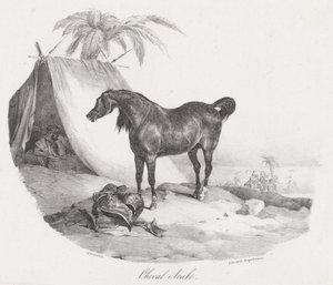  de Theodore Gericault