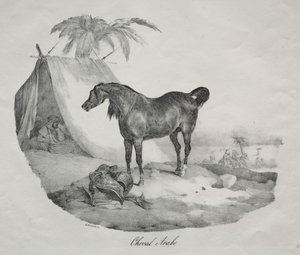 Caballo árabe de Theodore Gericault