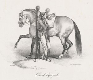 Caballo español (A Spanish Horse)
