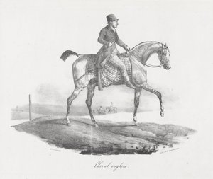 Caballo inglés (An English Horse)