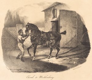Caballo de Mecklembourg de Theodore Gericault