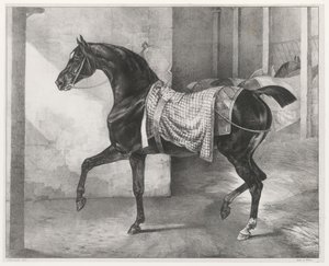 Caballo negro atado en un establo (A Black Horse Tethered in a Stable) de Theodore Gericault
