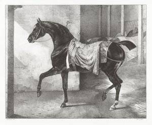  de Theodore Gericault