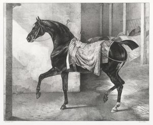  de Theodore Gericault