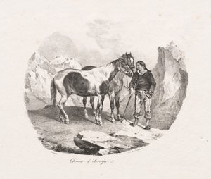 Caballos de Auvernia