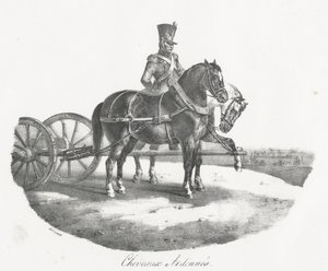 Caballos de las Ardenas (Horses from the Ardennes)