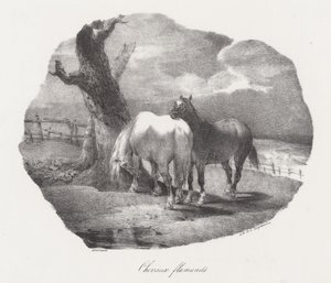 Caballos flamencos (Flemish Horses) de Theodore Gericault