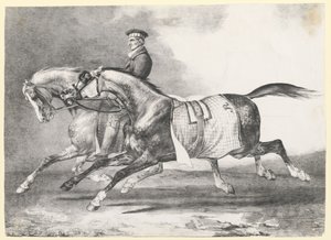 Dos caballos grises moteados a los que se saca a pasear (Two Dapple-Grays Being Exercised)