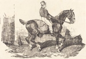 Mozo montado en un caballo de carruaje de Theodore Gericault