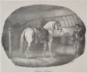 Caballo de Hannover de Theodore Gericault