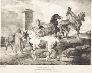 Caballos de camino a una feria