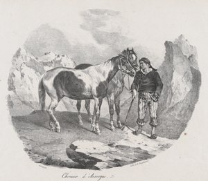 Caballos de Auvernia