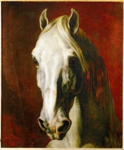 Cabeza de un caballo blanco de Theodore Gericault