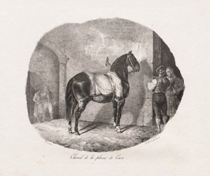 Estudios litografiados de caballos: Pl. 7, Caballo de la llanura de Caen de Theodore Gericault