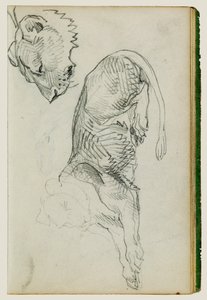 León sentado, cabeza de leona de Theodore Gericault