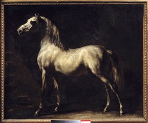 Estudio de un caballo de Theodore Gericault