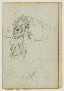Tres estudios sobre leones de Theodore Gericault