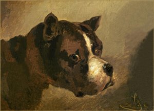 Cabeza de bulldog de Theodore Gericault