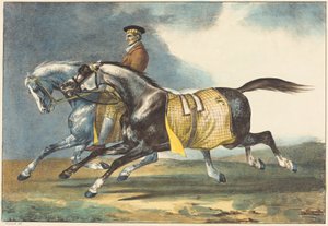  de Theodore Gericault