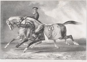 Dos caballos grises moteados durante el entrenamiento de Theodore Gericault