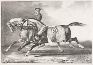 Two Dappled Horses Exercising de Theodore Gericault