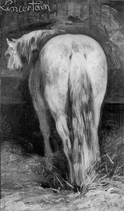 Incierto, el caballo en el establo