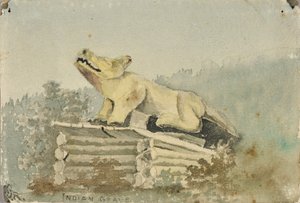 Tumba india. Tótem del lobo sobre la tumba del hombre medicina, Wrangell de Theodore J. Richardson