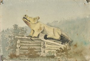 Tumba india. Tótem de lobo sobre la tumba del hombre medicina, Wrangell, ca. 1880-1914 de Theodore J. Richardson