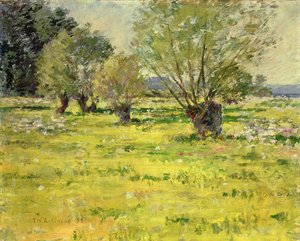Primavera