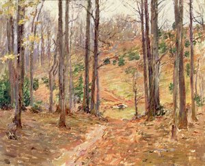 Bosques de Virginia, 1893 de Theodore Robinson