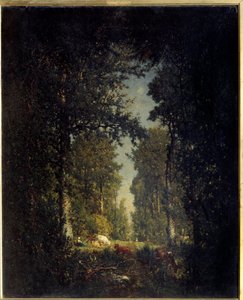 Una avenida, bosque de Isle Adam. Pintura de Théodore Rousseau (1812-1867) de Pierre Etienne Theodore Rousseau
