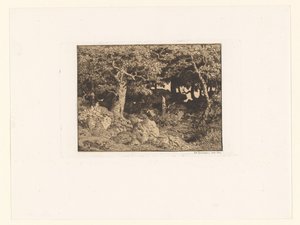 Roble en las rocas
Chênes de Roche (título original) de Theodore Rousseau