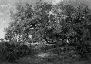 Paisaje, c. 1860 de Theodore Rousseau