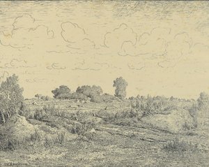 La llanura de La Plante en Biau de Theodore Rousseau