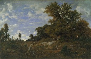 El borde del bosque en Monts-Girard, bosque de Fontainebleau de Pierre Etienne Theodore Rousseau