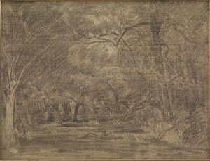 El interior de un bosque