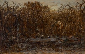 Bosque al atardecer en invierno