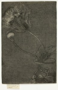 Amapola en un Jarrón