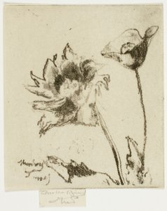 Dos flores de Theodore Roussel